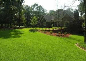 Transform Your Lawn: Expert Maintenance Tips