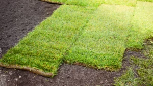 what are landscaping services